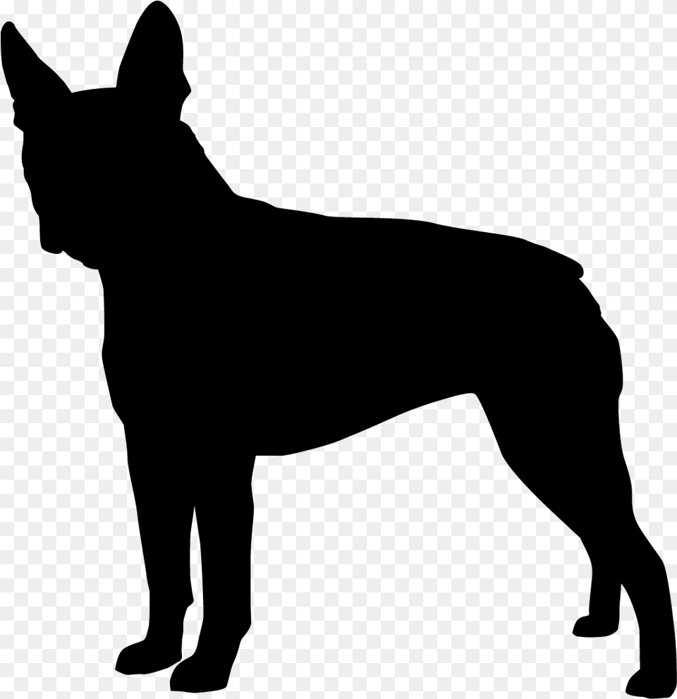 Puppy Vector, Gray Free Png