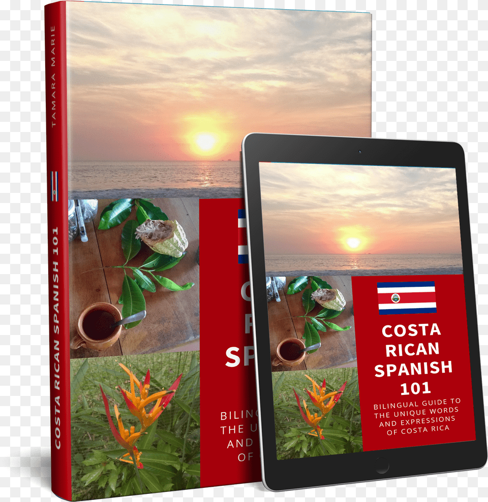 Pura Vida 19 Costa Rican Spanish Phrases You Must Know Mobile Phone, Potted Plant, Plant, Herbal, Herbs Free Png Download