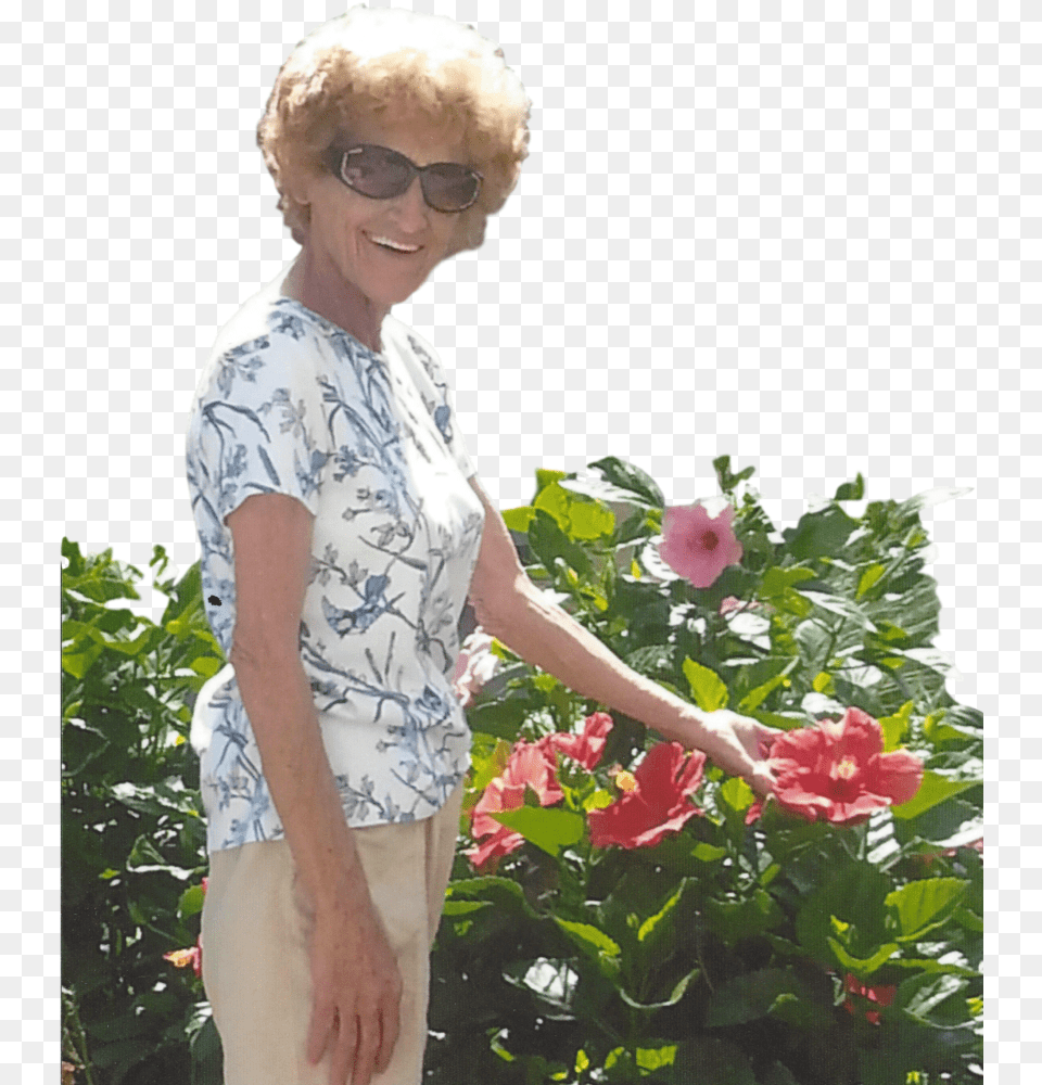 Purchase Flowers For Linda Roark Funeral Home, Head, Outdoors, Geranium, Gardening Png Image