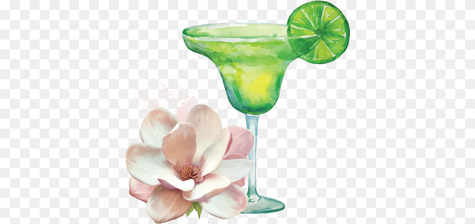Purchase Tickets Here Margaritas And Magnolias Logo Baylis Amp Harding Pink Magnolia And Pear Blossom, Alcohol, Produce, Plant, Lime Free Png