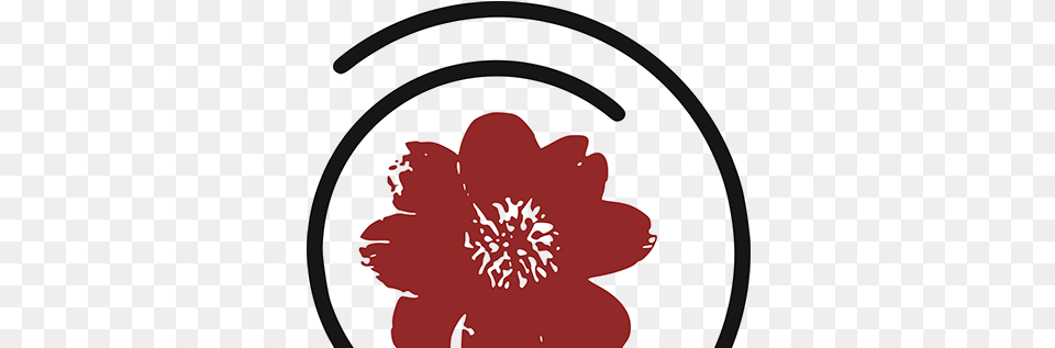 Purdue Projects Photos Videos Logos Illustrations And Floral, Anemone, Petal, Flower, Plant Png Image