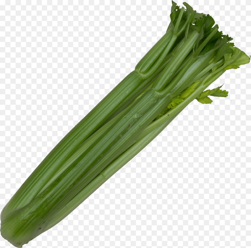 Pure Celery, Plant, Food, Leek, Produce Free Png Download