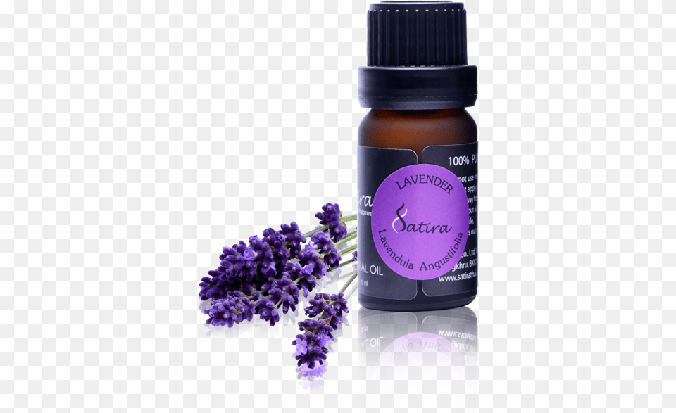 Pure Essential Oil Endiglow Gua Sha Amp Cupping Oil Lavender Essential, Flower, Plant, Herbal, Herbs Png