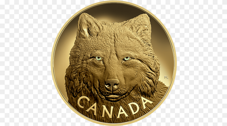 Pure Gold One Gold Wolf Coin, Animal, Bear, Mammal, Wildlife Free Png Download