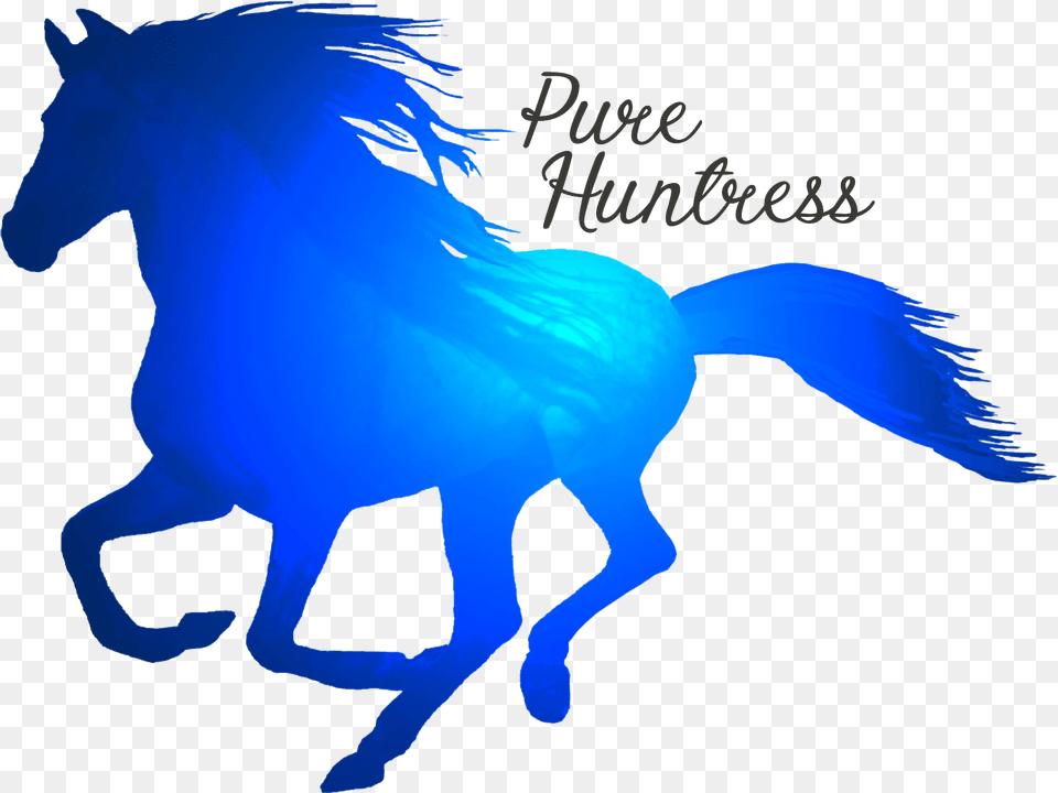 Pure Huntress Pure Huntress, Animal, Mammal, Horse, Person Png