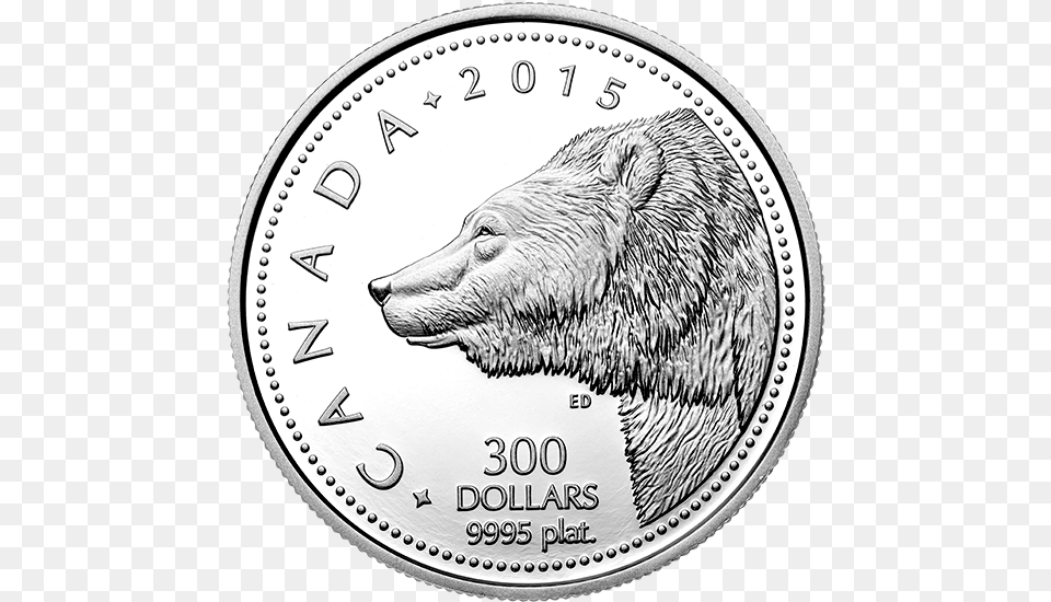 Pure Platinum Coin Platinum Coin, Money, Animal, Bear, Mammal Png