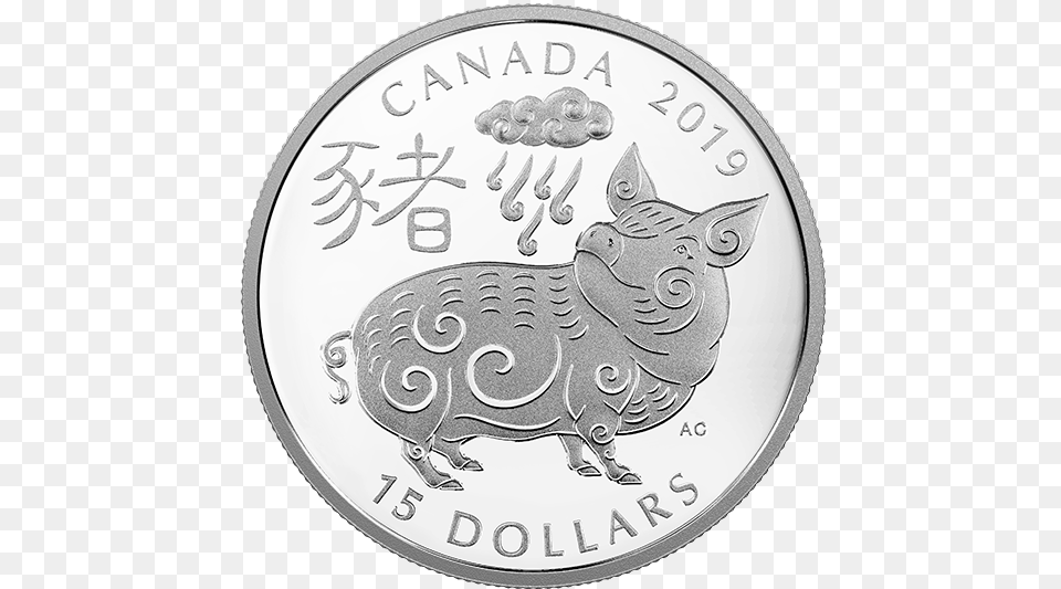 Pure Silver Coin 2019 Year Of The Gold Pig, Money, Nickel, Baby, Person Png