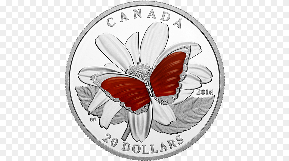 Pure Silver Coin Colourful Wings Of A Butterfly Mintage Lycaena, Money, Animal, Bird Free Png Download