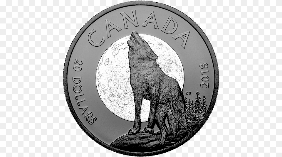 Pure Silver Coin Nocturnal By Nature Coin, Money, Animal, Canine, Dog Free Png