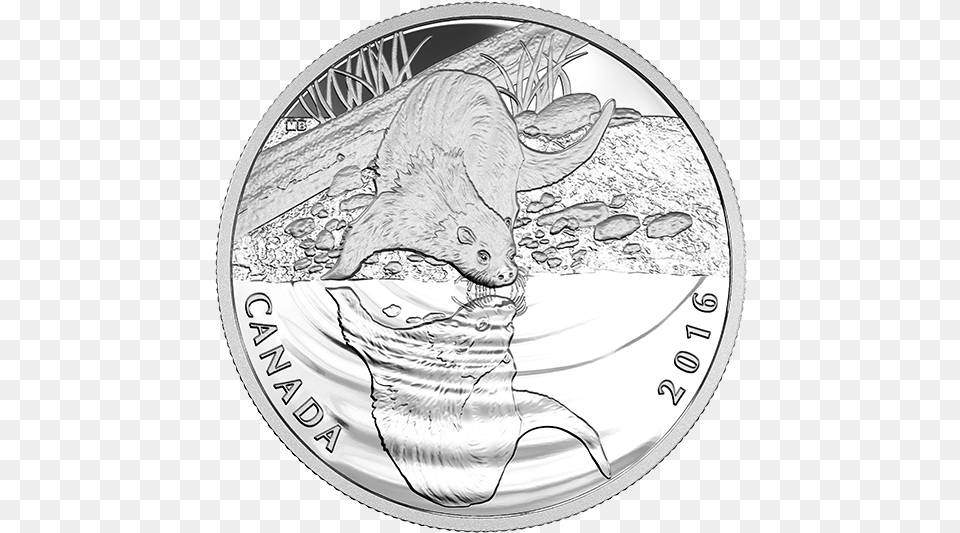 Pure Silver Coin Reflections Of Wildlife Silver, Money Free Png Download
