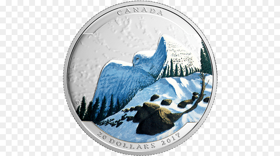 Pure Silver Coloured Coin Landscape Illusion 2017 Fine Silver 20 Dollar Coin Landscape Illusion, Animal, Bird, Money Free Transparent Png