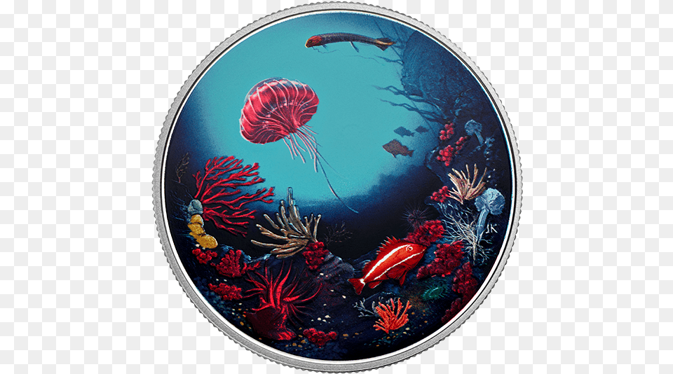 Pure Silver Glow In The Dark Coin Illuminated Coral Canadian Mint Coins Glow In The Dark, Water, Sea, Outdoors, Nature Png Image