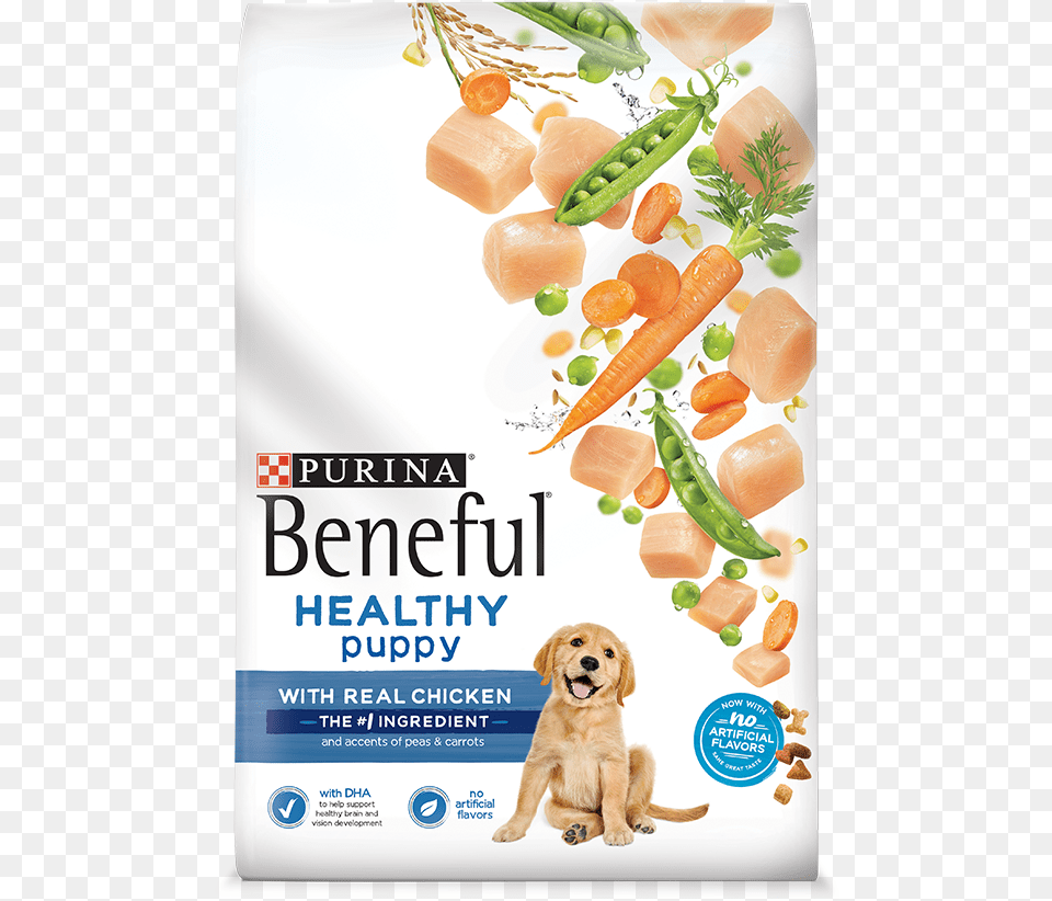 Purina Beneful Puppy Food, Advertisement, Animal, Canine, Dog Free Transparent Png