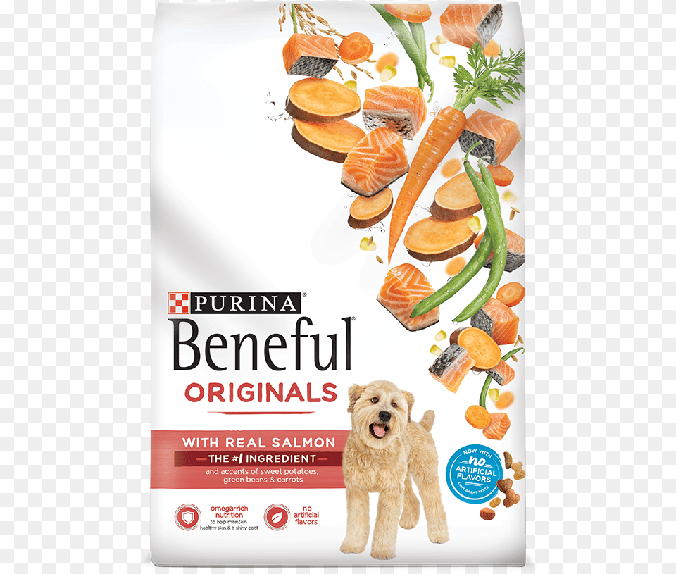 Purina Beneful Salmon Dog Food, Advertisement, Poster, Meal, Pet Free Png