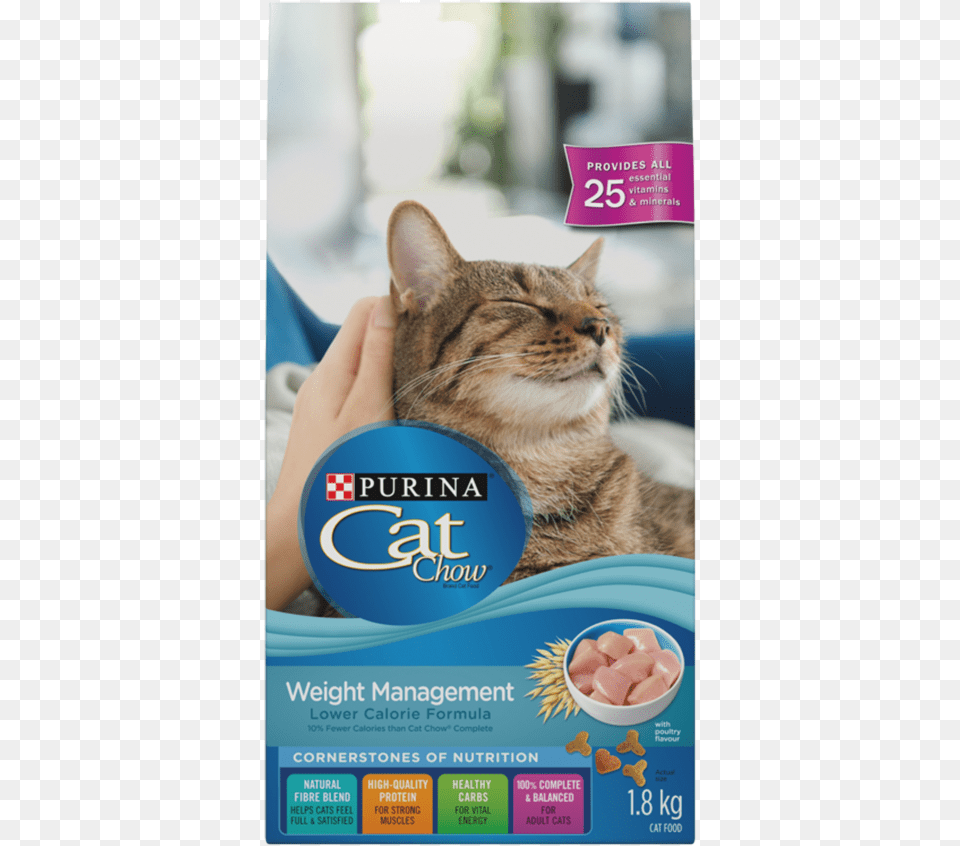 Purina Cat Chow, Advertisement, Poster, Animal, Mammal Free Png
