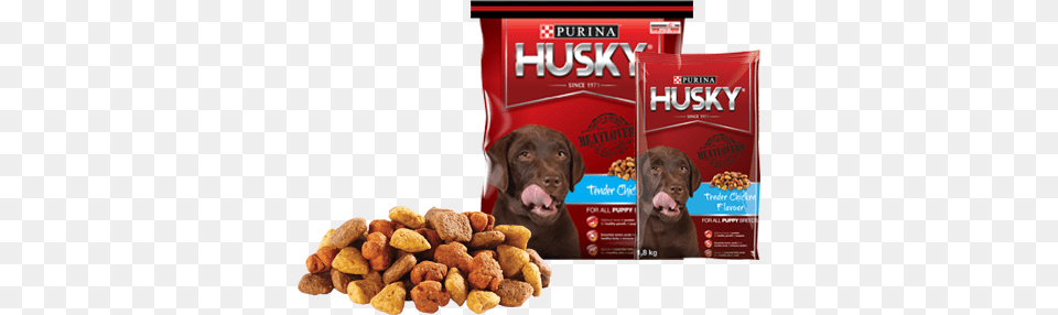 Purina Husky Puppy Chicken Food For Husky Dog, Fried Chicken, Nuggets, Animal, Canine Free Png