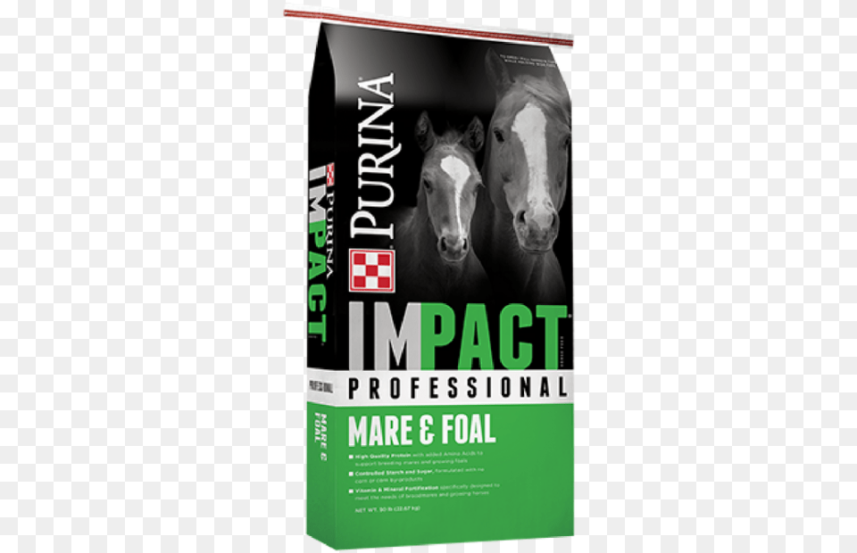 Purina Impact Professional Mare Amp Foal Horse Feed Purina Pink, Advertisement, Poster, Publication, Animal Free Png