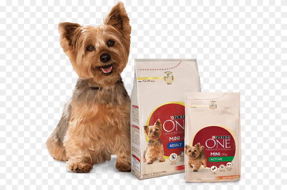 Purina One Small Dog, Animal, Canine, Mammal, Pet Png