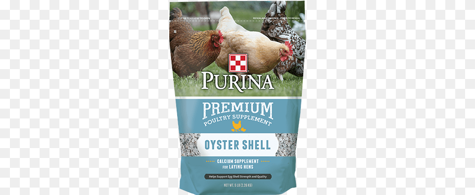 Purina Oyster Shell Purina Oyster Shell, Advertisement, Poster, Animal, Bird Free Transparent Png