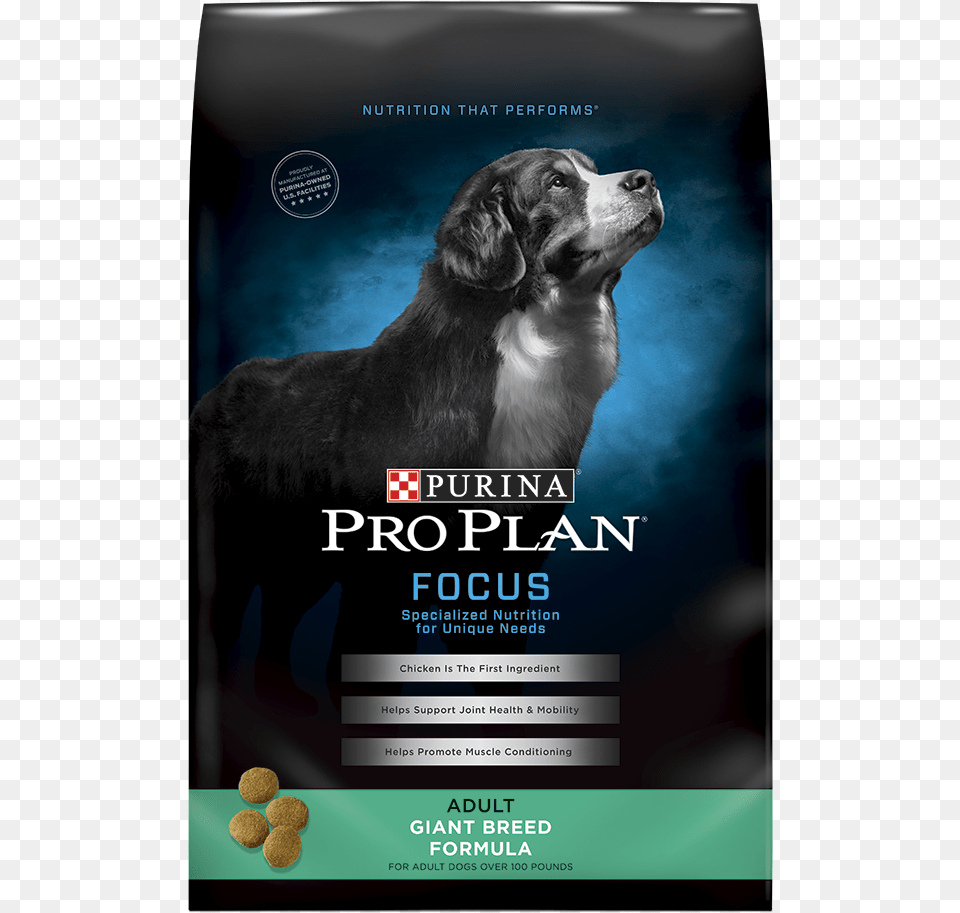 Purina Pro Plan, Advertisement, Poster, Animal, Canine Free Transparent Png