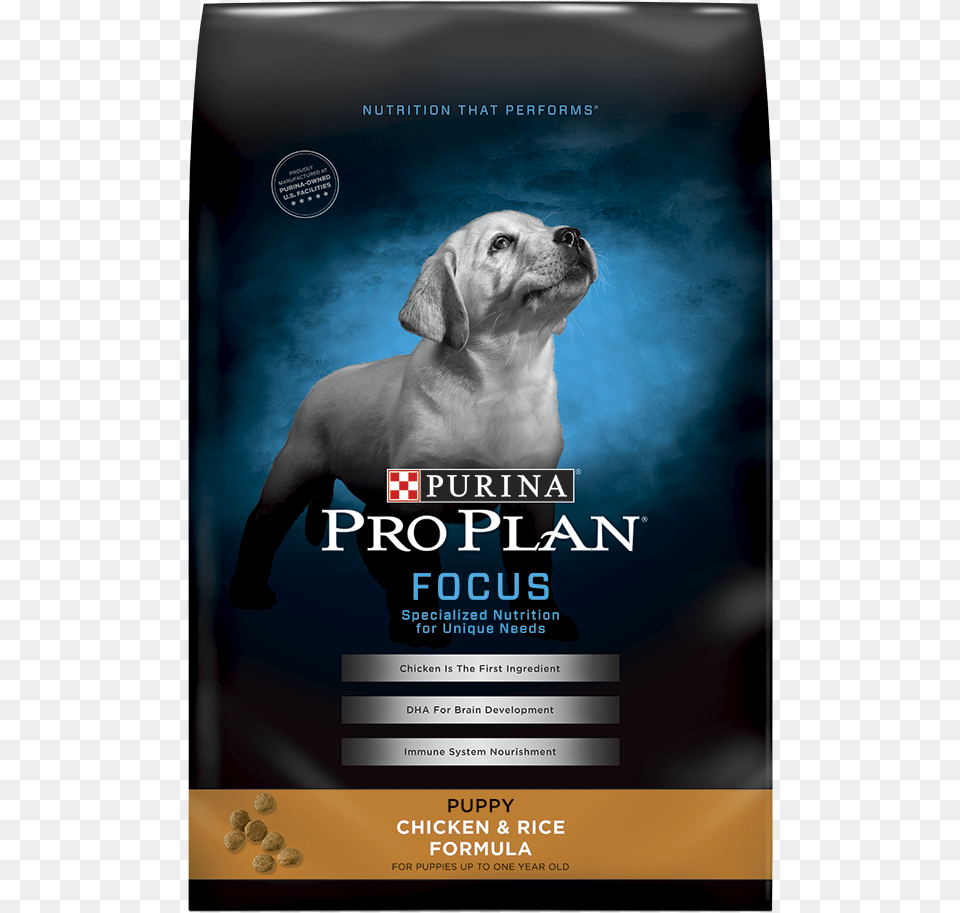 Purina Pro Plan Focus Puppy, Advertisement, Poster, Animal, Canine Free Transparent Png