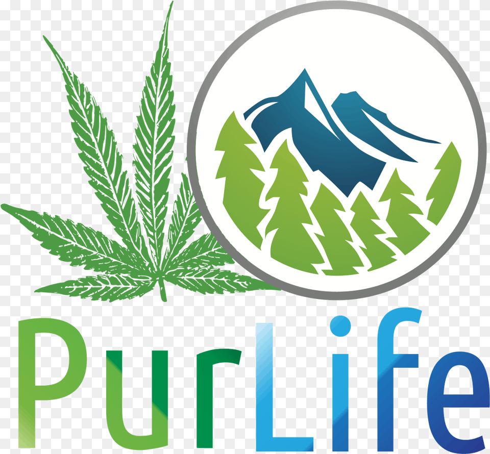 Purlife Dispensary, Leaf, Plant, Weed, Hemp Free Transparent Png