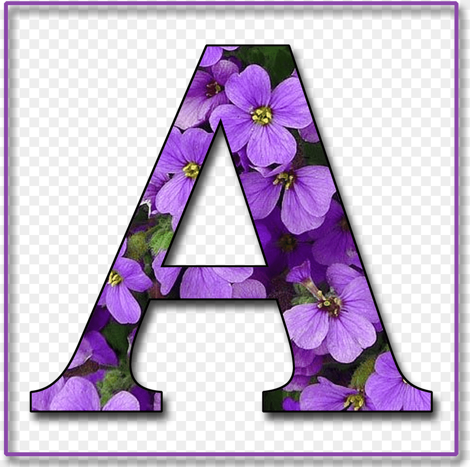 Purple Alphabet Letters, Flower, Petal, Plant, Triangle Free Transparent Png