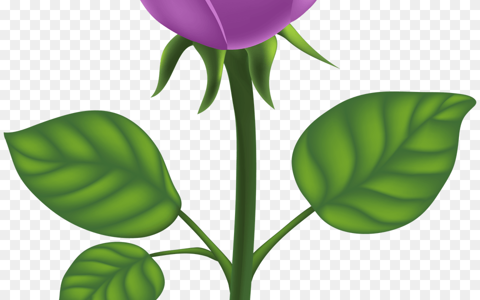 Purple And Green Flower Clip Art Gardening Flower And Vegetables, Plant, Rose, Balloon, Petal Free Png Download
