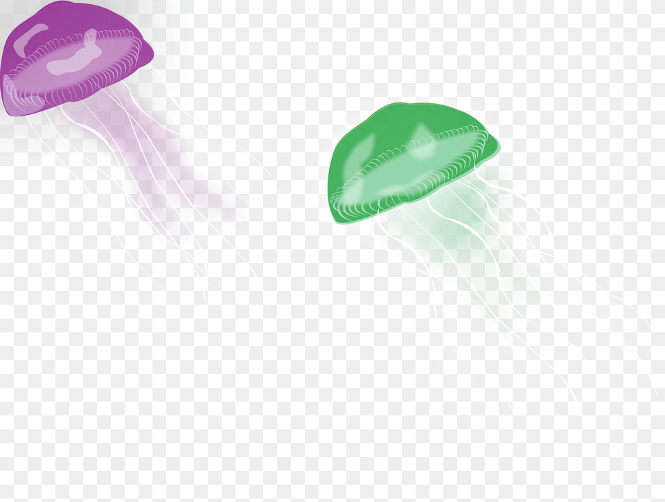 Purple And Green Jellyfish Clipart, Animal, Invertebrate, Sea Life, Adult Png