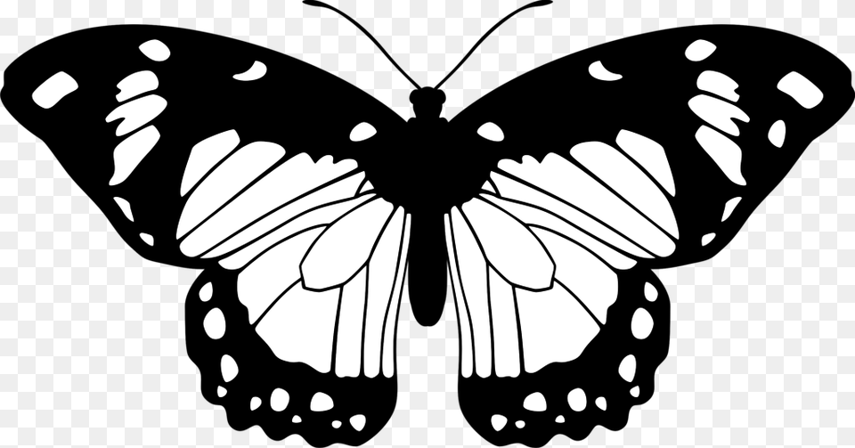 Purple And Pink Butterfly, Animal, Insect, Invertebrate, Stencil Free Transparent Png