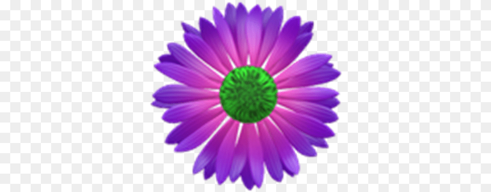 Purple And Pink Flower W Transparent Background Roblox Lic Cm Club Member Logo, Dahlia, Daisy, Petal, Plant Free Png