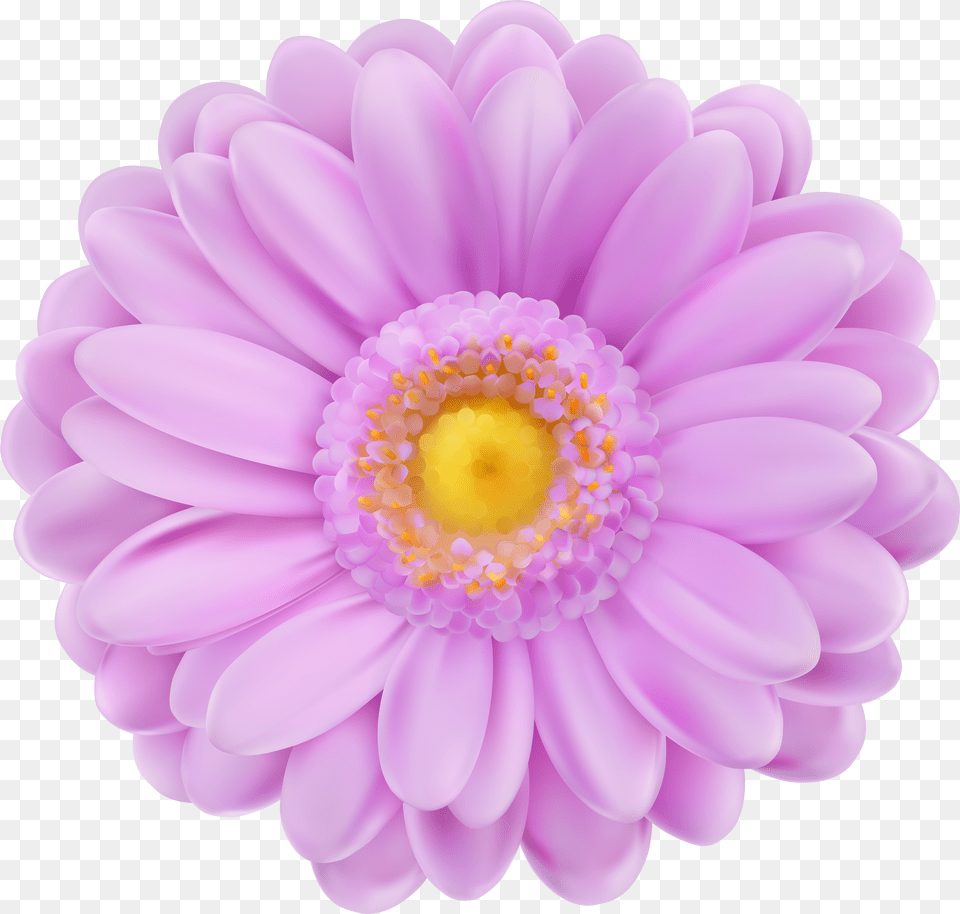 Purple And Pink Flowers Transparent Purple Flower Free Png Download