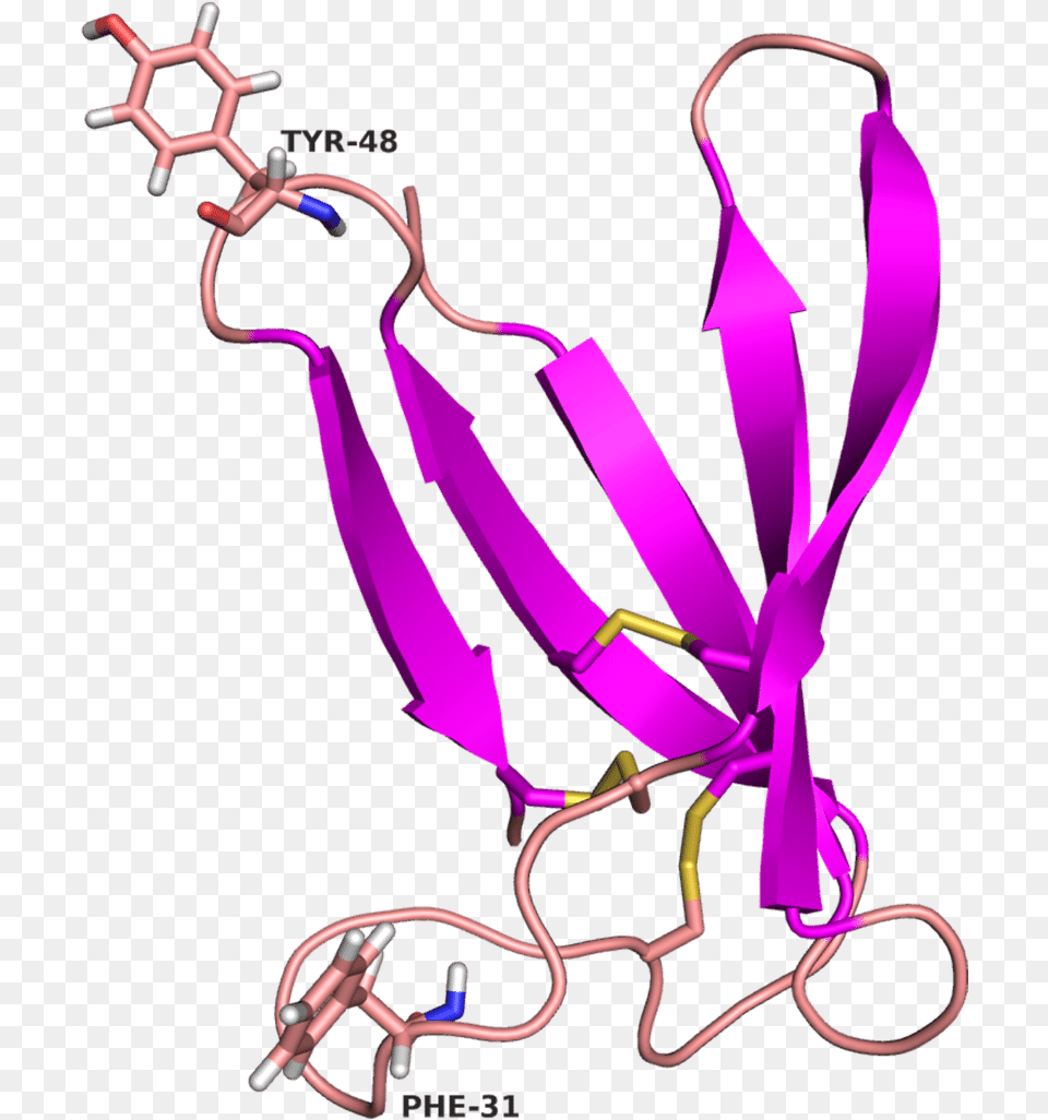 Purple Arrows Show Sheets Lines In Light Red Indicate, Paper Free Png