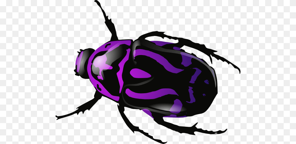 Purple Beetle Clip Art, Animal, Dung Beetle, Insect, Invertebrate Free Png Download