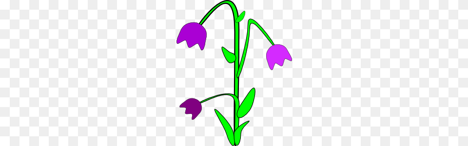 Purple Bell Flowers Clip Art, Flower, Petal, Plant, Dynamite Png Image