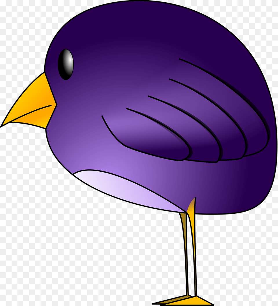 Purple Bird Clipart, Animal, Beak, Blackbird Png