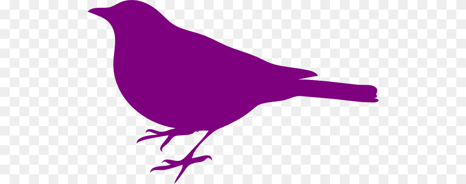 Purple Bird Purple Bird Left Clip Art Purple, Animal, Blackbird, Smoke Pipe Free Png