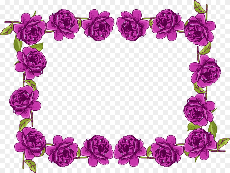 Purple Borders Designs, Flower, Plant, Rose, Art Free Transparent Png