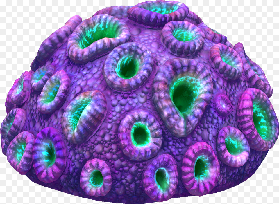 Purple Brain Coral Fauna, Animal, Sea Life, Sea, Reef Png Image