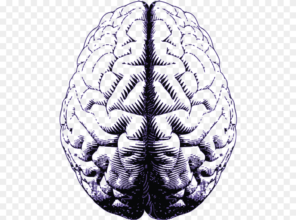 Purple Brain Emotional Intelligence, Ct Scan, Sphere, Sea, Outdoors Free Transparent Png