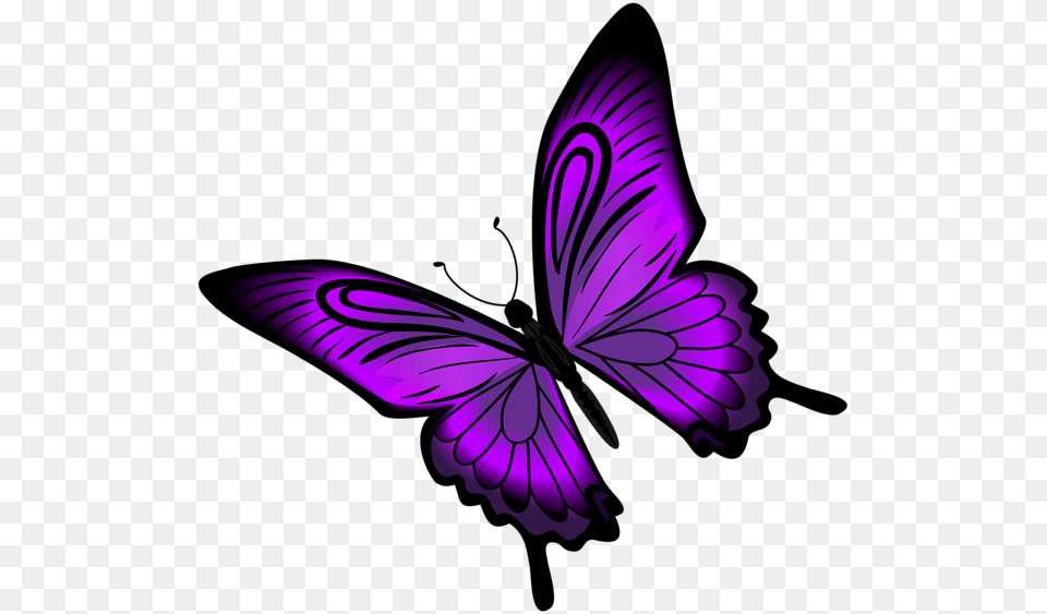 Purple Butterfly And Flower Clipart Images, Animal, Bird, Flying, Fish Free Png