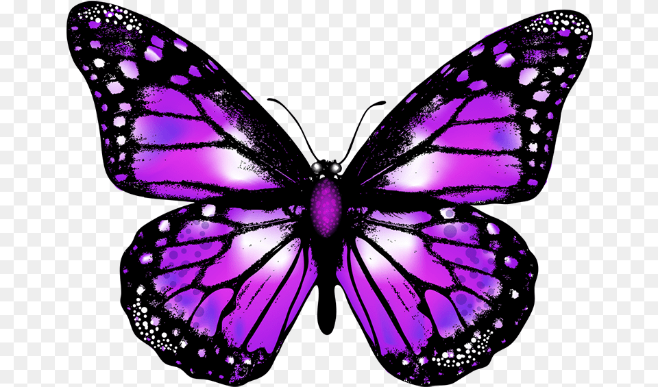 Purple Butterfly Background, Accessories, Appliance, Ceiling Fan, Electrical Device Free Transparent Png