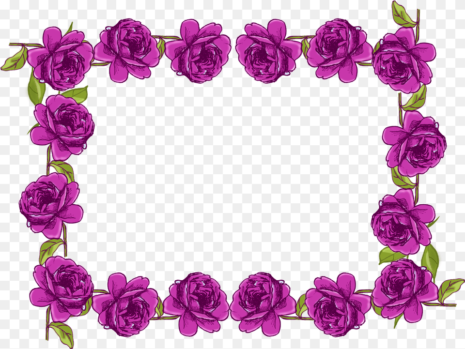 Purple Butterfly Border Design 5, Flower, Plant, Rose, Geranium Free Png