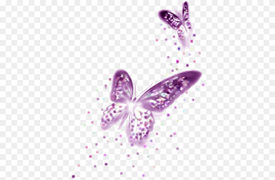 Purple Butterfly Butterfly Border Transparent Background, Flower, Petal, Plant, Orchid Free Png Download