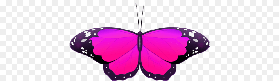 Purple Butterfly Clip Art Pink Butterfly Clipart Flower, Petal, Plant, Animal Free Png Download