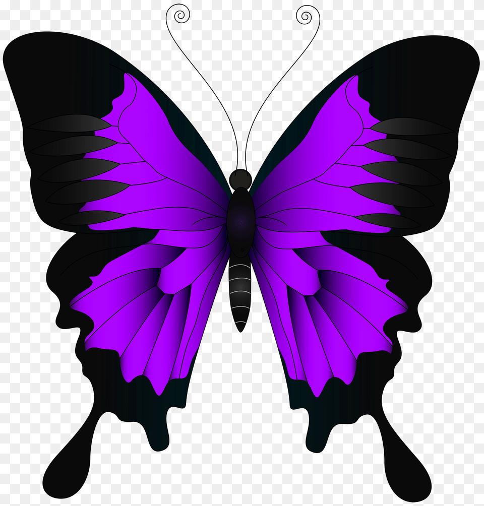 Purple Butterfly Clip Art, Graphics, Accessories Png Image