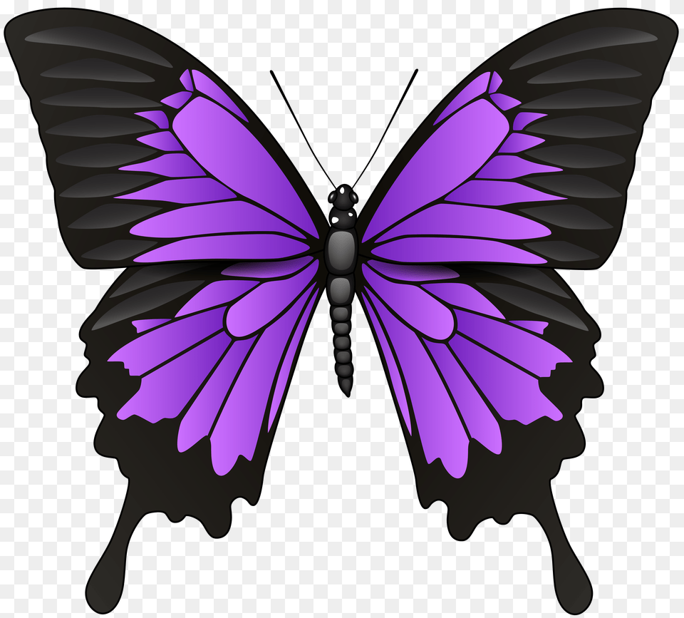 Purple Butterfly Clip Art, Animal, Insect, Invertebrate Png