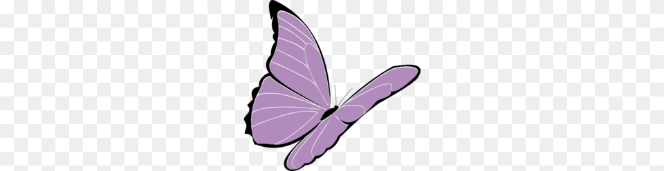 Purple Butterfly Clipart, Animal, Insect, Invertebrate Png