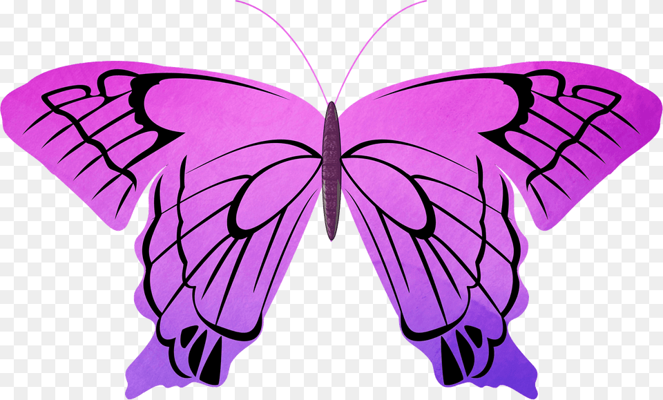 Purple Butterfly Clipart, Animal, Invertebrate, Insect, Art Png Image