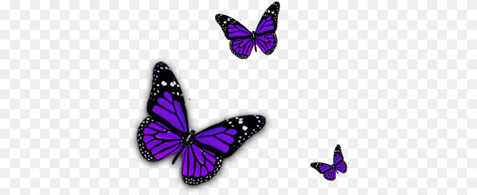 Purple Butterfly Clipart Purple Butterfly Transparent, Animal, Insect, Invertebrate, Monarch Png Image